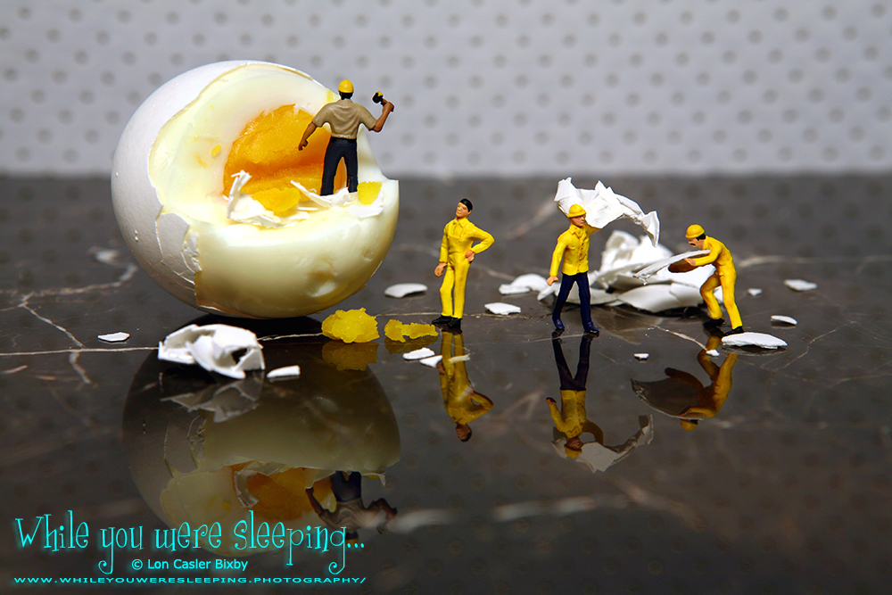 An Eggcellent Work Crew - While you were sleeping...  Photography by Lon Casler Bixby - Copyright - All Rights Reserved - www.whileyouweresleeping.photography/