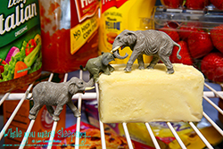 Refrigerator elephants do indeed leave footprints in the butter. - While you were sleeping...  Photography by Lon Casler Bixby - Copyright - All Rights Reserved - www.whileyouweresleeping.photography/