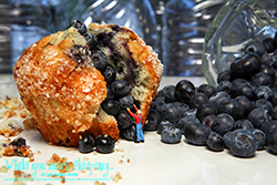 Charlie really liked blueberries in his muffins, some say a little too much.  - While you were sleeping...  Photography by Lon Casler Bixby - Copyright - All Rights Reserved - www.whileyouweresleeping.photography/